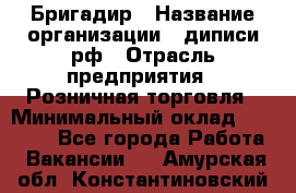 Бригадир › Название организации ­ диписи.рф › Отрасль предприятия ­ Розничная торговля › Минимальный оклад ­ 35 000 - Все города Работа » Вакансии   . Амурская обл.,Константиновский р-н